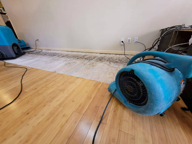 Professional Flood Damage Cleanup technician working in Panama, NE